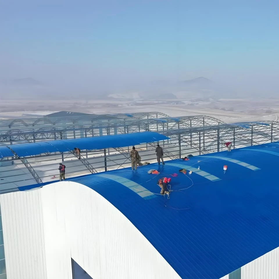 Prepainted Galvanized Steel Coil high quality